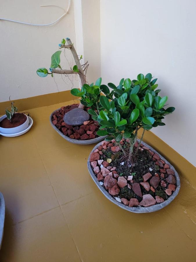 Sandy Beach Hotel 特里凡得琅 外观 照片
